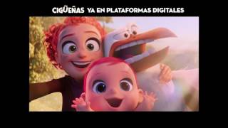 Cigüeñas Película Completa En La Descripcion Del Video [upl. by Akihsay]