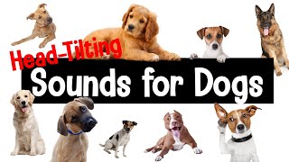 Sounds for Dogs  HeadTilting Sounds Your Dog Will Love [upl. by Dlaner]