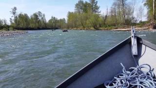 Drifting the North Santiam April 2 2016 Stayton to Greens Bridge [upl. by Ahsenauq403]