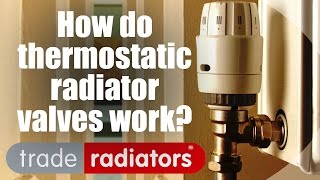 How Do Thermostatic Radiator Valves Work  by Trade Radiators [upl. by Publius]