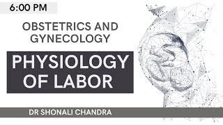 Physiology of Labor  Unacademy NEET PG  Dr Shonali Chandra [upl. by Dyche]