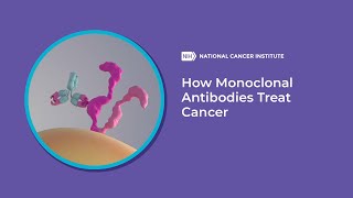 How Monoclonal Antibodies Treat Cancer [upl. by Hallsy178]