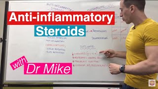 Antiinflammatory Steroids [upl. by Arym]