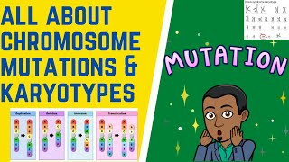 How Do We Analyze Chromosome Mutations amp Karyotypes [upl. by Brottman]