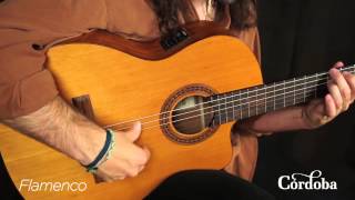 Cordoba Guitars  C5CE Nylon String Guitar [upl. by Nnylak]