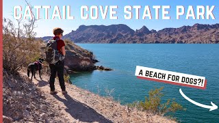 DOG FRIENDLY Lake Havasu  Exploring Cattail Cove State Park  Fulltime RV [upl. by Betsey]