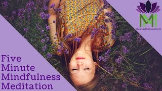 5 Minute Mindfulness Meditation [upl. by Eudoca]