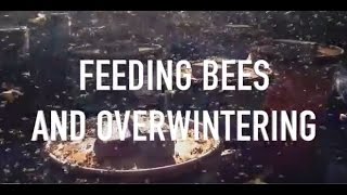 Feeding Bees and Overwintering [upl. by Dorion]