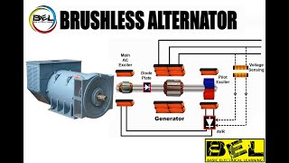 Brushless alternator working at Basic Electrical Learning [upl. by Solorac511]