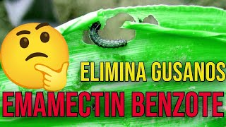 EMAMECTIN BENzOATO INSECTICIDA QUE ES CARACTERISTICAS DOSIS Y USOS [upl. by Abelard475]