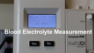 Blood Electrolyte Measurement [upl. by Hoashis]