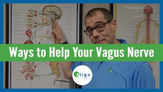 How to Stimulate Your Vagus Nerve for Mental Health  Balancing Your Nervous System [upl. by Otsedom]