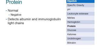 How to Read a Urinalysis Result [upl. by Demetria]