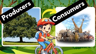 Producers and Consumers Herbivores Carnivores and Omnivores [upl. by Norved]