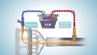 Fuel Trim  System Too Lean [upl. by Akered547]