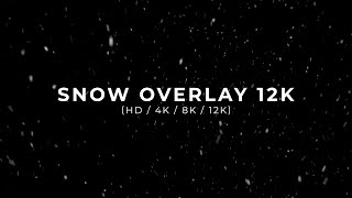 Snow Overlay HD  4K  8K  12K [upl. by Akihc491]