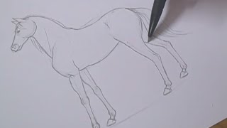 Tutorial  Como desenhar cavalos  How to draw horses [upl. by Nonnahs]