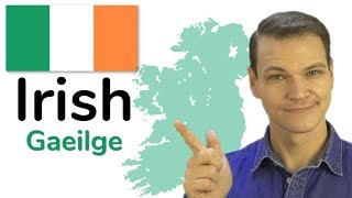 The Irish Language Gaelic [upl. by Llerraj]