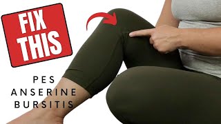 Pes Anserine Bursitis Knee  Treatment amp Exercise to Reduce Pain [upl. by Newmark632]