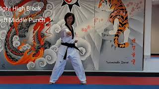 10 Basic Movements in Taekwondo  Beginners [upl. by Halsey164]