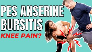 Pes Anserine Bursitis  Causes amp Treatments [upl. by Alfi]