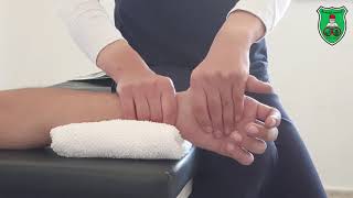 Mobilization Radiocarpal Ulnar and Radial Glide [upl. by Lleznol]