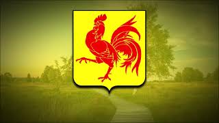 National Anthem of Wallonia Belgium  Le chant des Wallons Li Tchant des Walons [upl. by Neladgam]