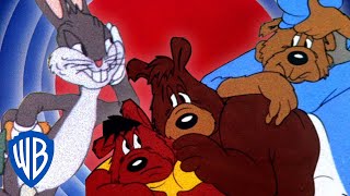 Looney Tunes  Bunny and the Three Bears  WB Kids [upl. by Odrareve]