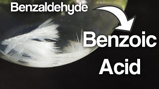 Synthesis of Benzoic acid from Benzaldehyde [upl. by Suirad]