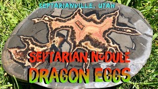 Septarian Nodule Rockhounding Utah [upl. by Nylzaj325]