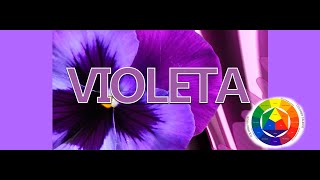 Como saco el Color Morado o Violeta [upl. by Perkin]