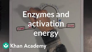 Enzymes and activation energy  Biomolecules  MCAT  Khan Academy [upl. by Rawley529]