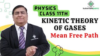 Class 11th – Mean Free Path  Kinetic Theory of Gases  Tutorials Point [upl. by Lareine]