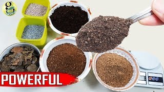 Best DIY Fertilizer Mix Recipe Universal Allpurpose Mixed Fertilizer Powder [upl. by Zollie390]