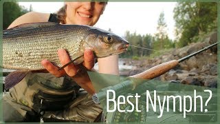 Fly fishing Norway – Grayling Nymphs [upl. by Leiand880]