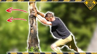 How To Cut Down a Tree With No Tools [upl. by Llewellyn185]