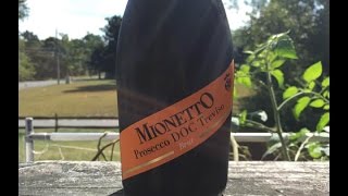 Wine Review Mionetto Prosecco Brut  TheWineStalkernet [upl. by Sivatco]