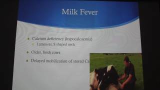 Mastitis Milk Fever and Ketosis in Dairy Cattle [upl. by Dnalon60]