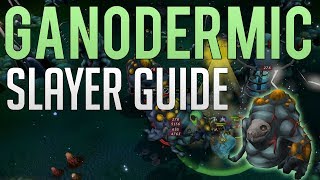 Consistent GP  Ganodermic Beast slayer guide  Runescape 3 [upl. by Udell]