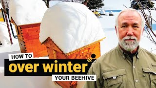 TheBeekeeperorg  How to overwinter your beehive [upl. by Jovitta]