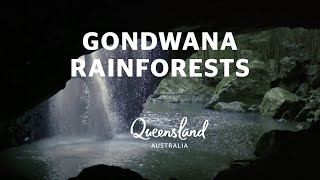 Gondwana Rainforests  Queenslands 5 World Heritage Sites [upl. by Ellednahc]