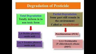 Principle of Biodegradation of PesticideXenobiotics [upl. by Yentroc209]