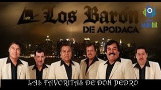 Favoritas de Los Baron de Apodaca Exitos Inmortales [upl. by Zosema]