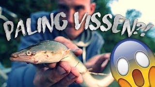 FISHING FOR EEL  Paling vissen met de pen [upl. by Obelia]