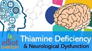 Vitamin B1 Thiamine Deficiency Neurological Dysfunction amp Disease [upl. by Reema]