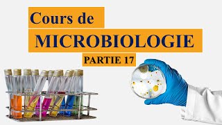 Cours de microbiologie partie 17 métabolisme bactérien [upl. by Allsopp]