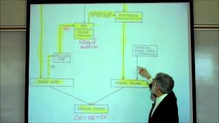 CARDIAC PHYSIOLOGY PART 6 by Professor Finkwmv [upl. by Isadore]