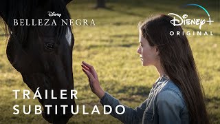 Belleza Negra  Tráiler Oficial Subtitulado  Disney [upl. by Eelan783]