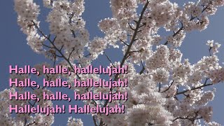 Halle Halle Hallelujah with lyrics for congregations [upl. by Ahsataj]