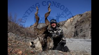 Hunting Tajikistan Marco Polo Sheep and Bukharan Markhor Hunting in Tajikistan 2019 [upl. by Sire]